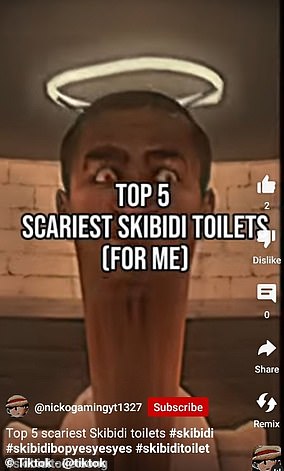 Gen Z have been left confused by the popularity of 'Skibidi Toilet' a YouTube series about ominous all-singing all-dancing toilets that want to take over the world