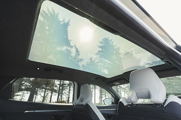 Light floods in from a panoramic glass roof which becomes opaque or clear as required