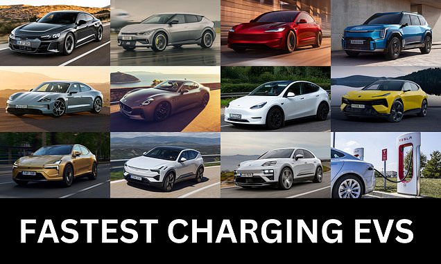 Electric cars that can charge in under 20 minutes: The 11 EVs with the fastest charging