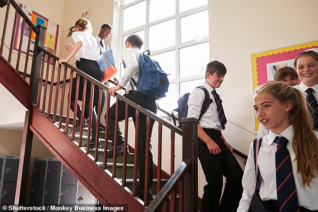 Private schools: Charging VAT of 20% on their fees is one of Labour's key policies