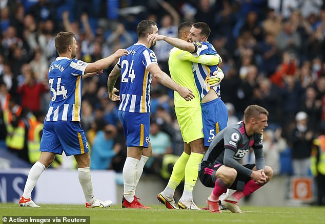 The last seven years in the Premier League have marked the best period in Brighton's history