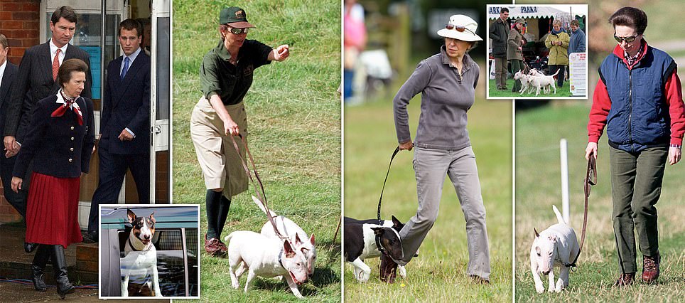 When Princess Anne's pooch landed her in the doghouse: Royal was summoned to court in 2002