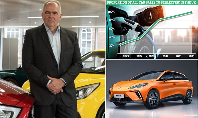 How government EV sales targets are forcing car makers to use drastic tactics to inflate