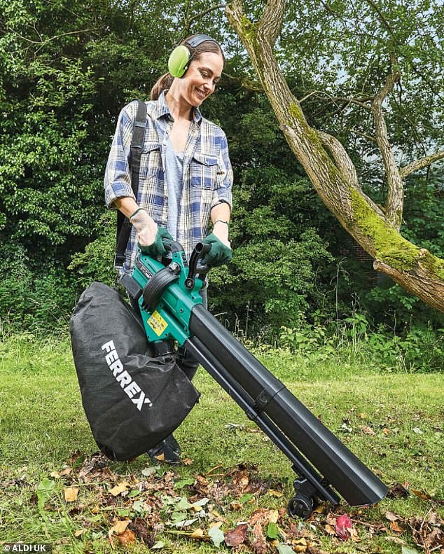 While cordless leaf blowers are traditionally expensive, Aldi's version comes in at just £34.99