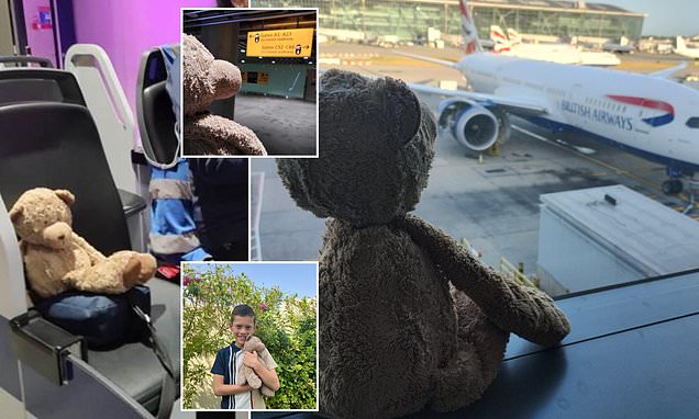 British Bearways: Teddy bear left in Heathrow lounge reunited with nine-year-old owner in