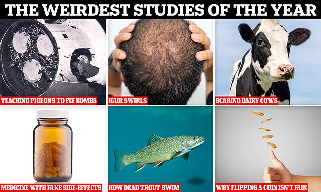 The weirdest studies of the year are revealed in the spoof 'Ig Nobel' awards - from