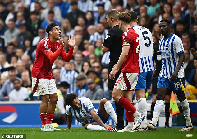 Morgan Gibbs-White protested his innocence after a challenge on Brighton's Joao Pedro