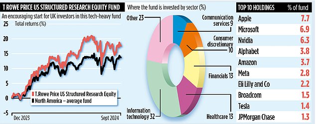 US-based: Available to UK investors since December, T. Rowe Price US Structured Research Equity is run out of Baltimore by a company that has $1.5 trillion of assets under its wing