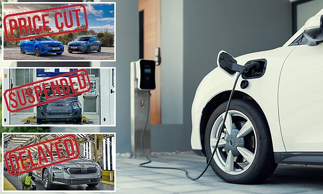 Car makers slash EV prices, suspend production and extend petrol model availability as