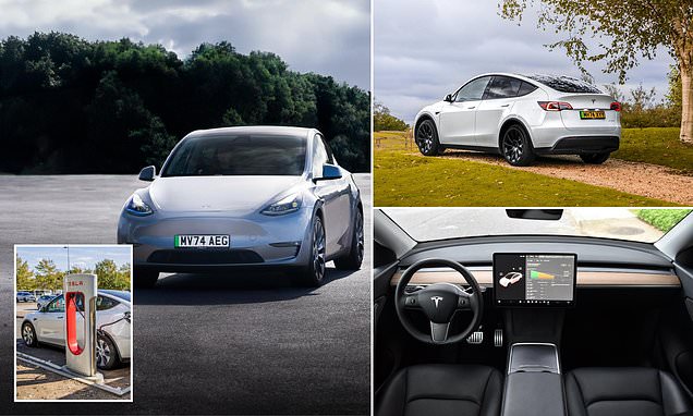 Tesla unveils Long Range Rear-Wheel Drive Model Y - and the new version of the UK's