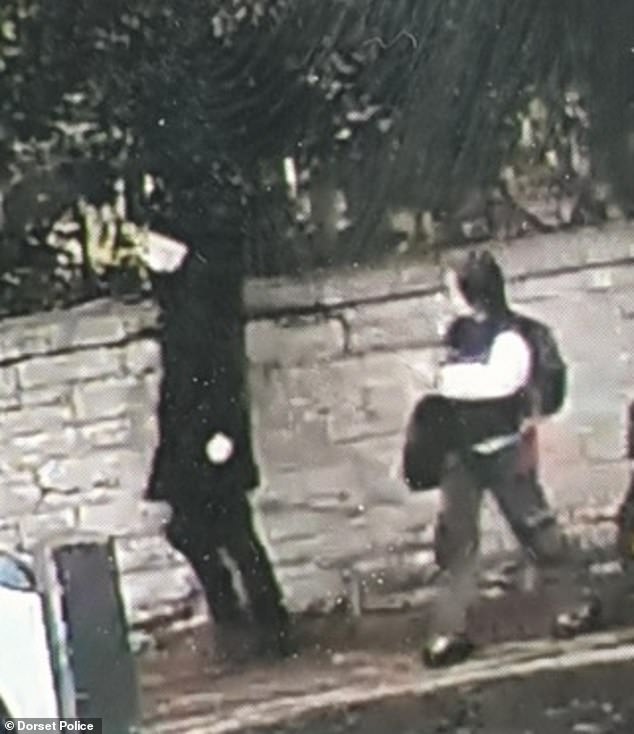 Officers have since found CCTV images of the youngster with a man in Christchurch around 4.45pm