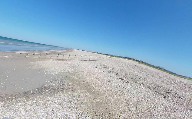 Six men were arrested over a half-tonne haul discovered by the National Crime Agency on Medmerry Beach, near Selsey (pictured)