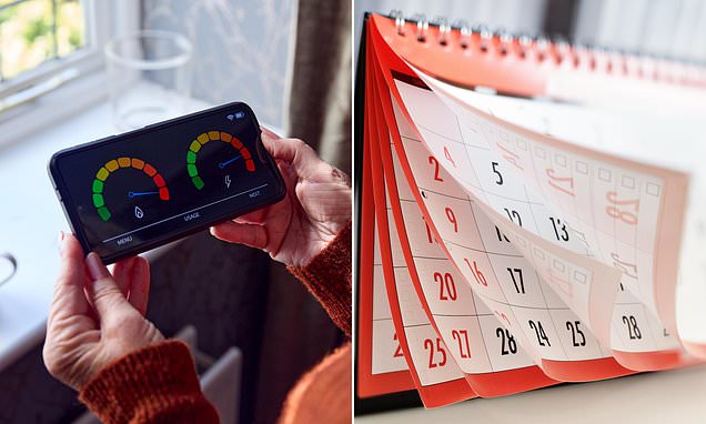 Households face ANOTHER year of expensive energy bills under Ofgem rules that limit cheap