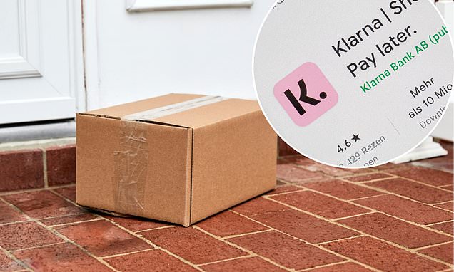 My gymwear parcel from Aybl was lost in transit - so why has Klarna sent debt collectors