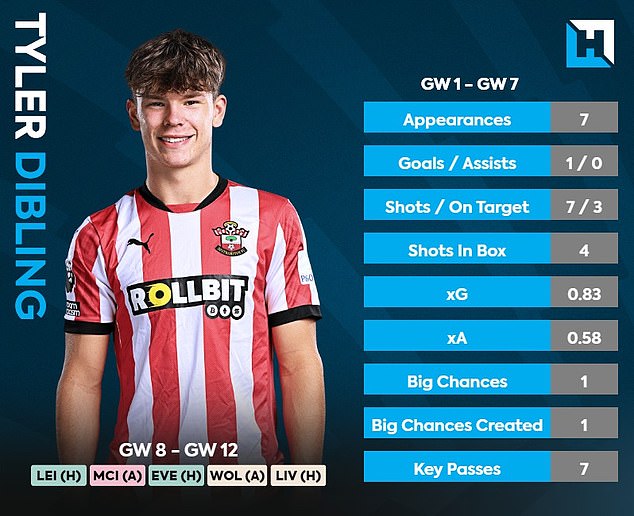 It's hard not to look past Southampton's Tyler Dibling given his bargain price of just £4.6m