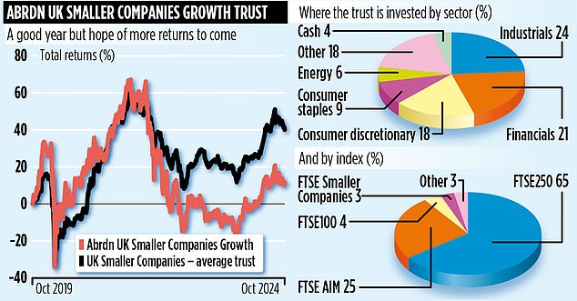 Value for money: Abrdn believes shares in some UK smaller companies are attractively priced