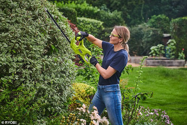 Thanks to the practical cordless design, it makes trimming hedges and bushes seamless, with no dangerous leads to get caught up in