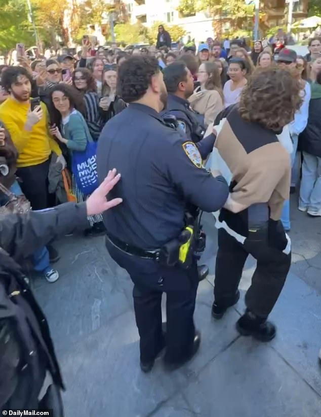 At least one shaggy-haired Chalamet lookalike was arrested at Washington Square Park