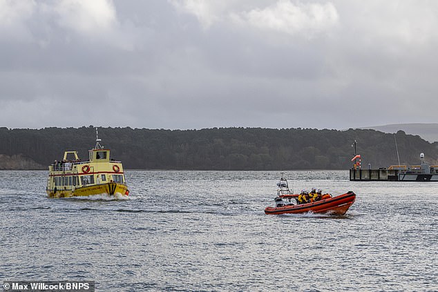 The retired electrical engineer plunged over the edge of the quayside wall