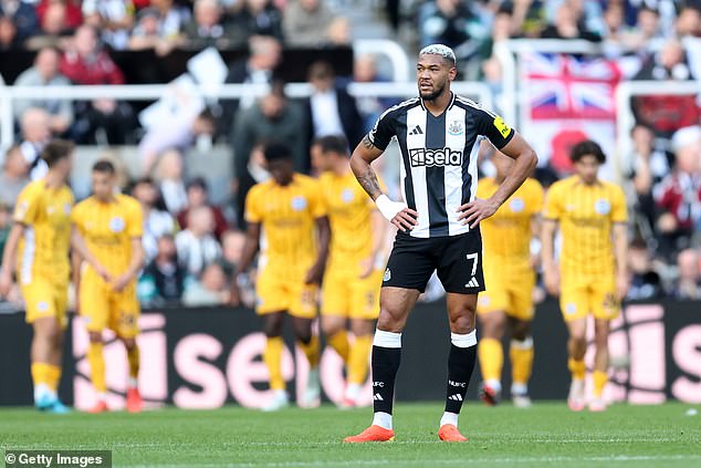 There was irritation among Newcastle’s backroom at being made to wait for Brighton to reappear after half-time in their clash earlier this month