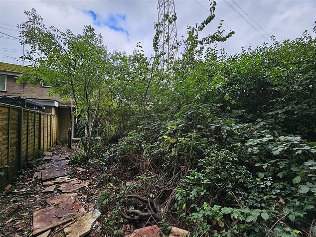 Needing a prune: Plants in the garden have grown, highlighting the state of abandonment of the property