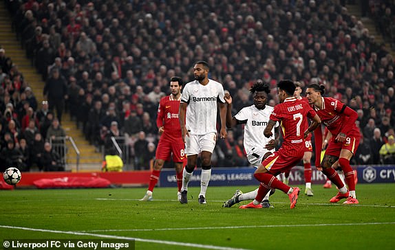 LIVERPOOL, ENGLAND - NOVEMBER 05: (THE SUN OUT, THE SUN ON SUNDAY OUT) Luis Diaz of Liverpool scoring the third goal making the score 3-0 during the UEFA Champions League 2024/25 League Phase MD4 match between Liverpool FC and Bayer 04 Leverkusen at Anfield on November 05, 2024 in Liverpool, England. (Photo by Andrew Powell/Liverpool FC via Getty Images)