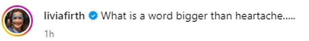 Also sharing her anguish on social media was activist Livia Firth, who made her despair known as she wrote: 'What is a word bigger than heartache?'