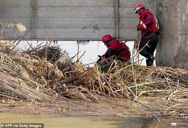 Valencia's firefigters search for victims at a lock at L'Albufera, near Valencia, eastern Spain, on November 7, 2024