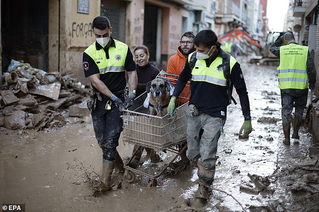 Police department members of Bilbao City assist a woman in transporting a dog along a muddy street in the flood-hit city of Paiporta, Valencia, Spain, November 7, 2024