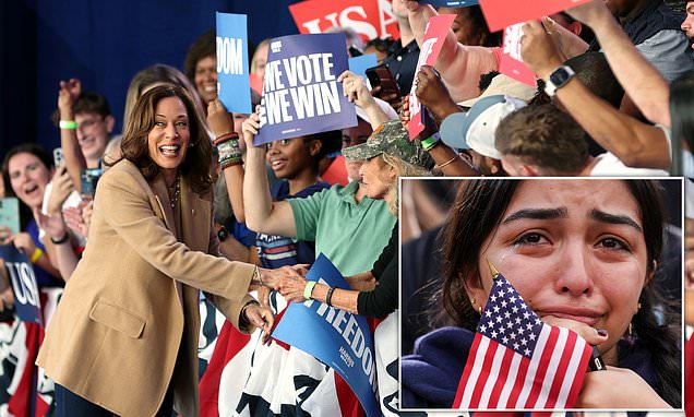 I worked on Kamala Harris's campaign - and this is why it turned out to be an utter