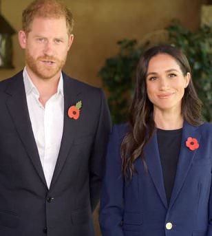 Hidden message in Harry and Meghan's video: Impeccably placed sources tell ALISON BOSHOFF