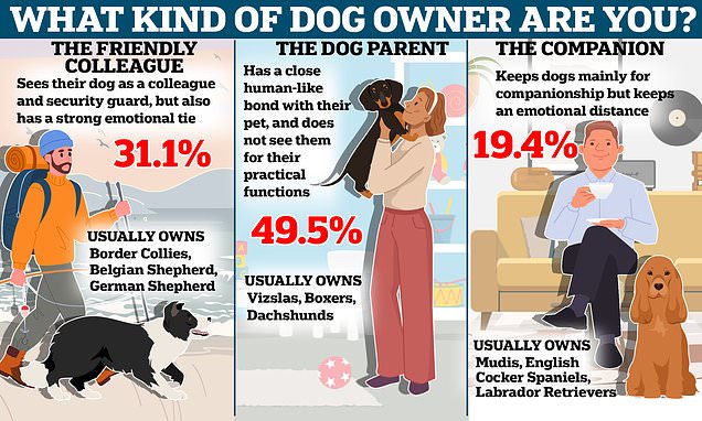 What kind of dog owner are YOU? Scientists say all pooch parents fit into three distinct