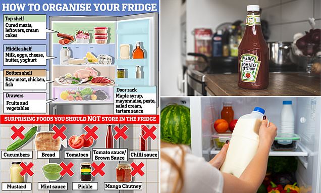 You've been organising your fridge wrong! Experts reveal the correct spot for every single