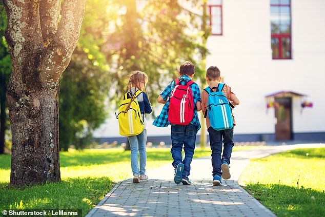 Sunlight has a balance of what scientists call red and blue light and experts are concerned overexposure to the latter could cause host of potential negative health problems in the future. Stock image