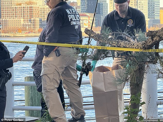 A 68-year-old Asian man, who was fishing in the East River, was stabbed multiple times around 10.27am. (Pictured: Investigators collecting his fishing pole into evidence)