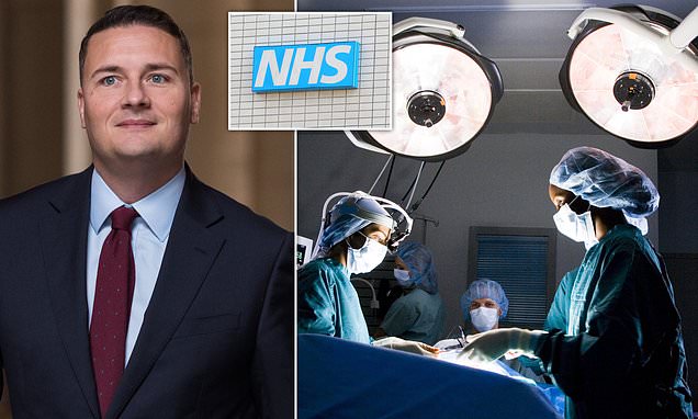 Government launches probe into 'cut-price' medics: Heath Secretary Wes Streeting says