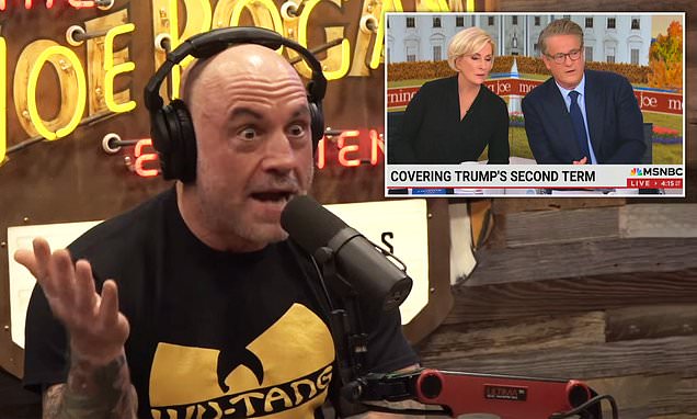 Joe Rogan's brutal five-word explanation for why liberal media is 'hemorrhaging' audiences