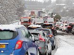 Storm Bert claims three motorists' lives with two crashes and one crushed by a tree: Airports close and 16-inch snowfall blankets areas as 'multi-hazard' weather hits UK - with WORSE to come