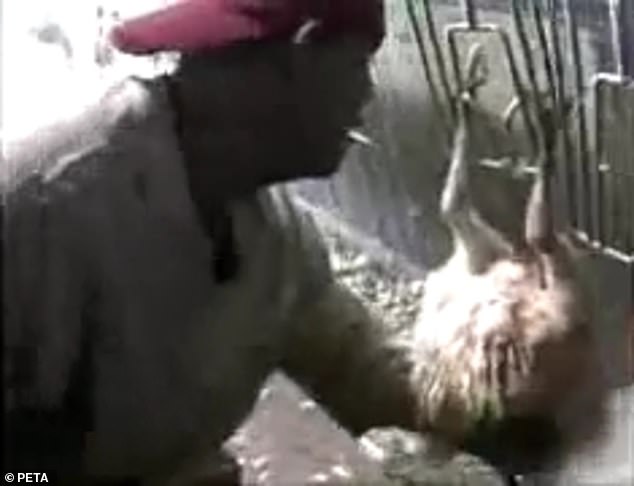 The disturbing footage posted to PETA's Instagram last week showed workers sitting on turkeys, smacking and humping the birds and sexually abusing them at the Ozark, Arkansas plant in 2006