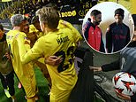 Norwegian underdogs Bodo/Glimt have survived their dark days and are shining in Europe... now, after shocking Roma and Porto, they're relishing their 'special' Man United trip