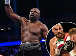 Derek Chisora's next opponent is revealed as boxer only beaten by Tyson Fury and Anthony Joshua - as 40-year-old's 49th career fight is confirmed for February 2025