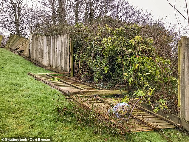 Fencing battle: Boundary fence repairs are a bone of contention between many a neighbour