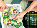 Green light: The Competition and Markets Authority has approved Carlsberg's planned £3.3billion takeover of soft drinks producer Britvic