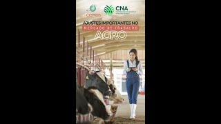 Ajustes importantes no mercado de trabalho agro