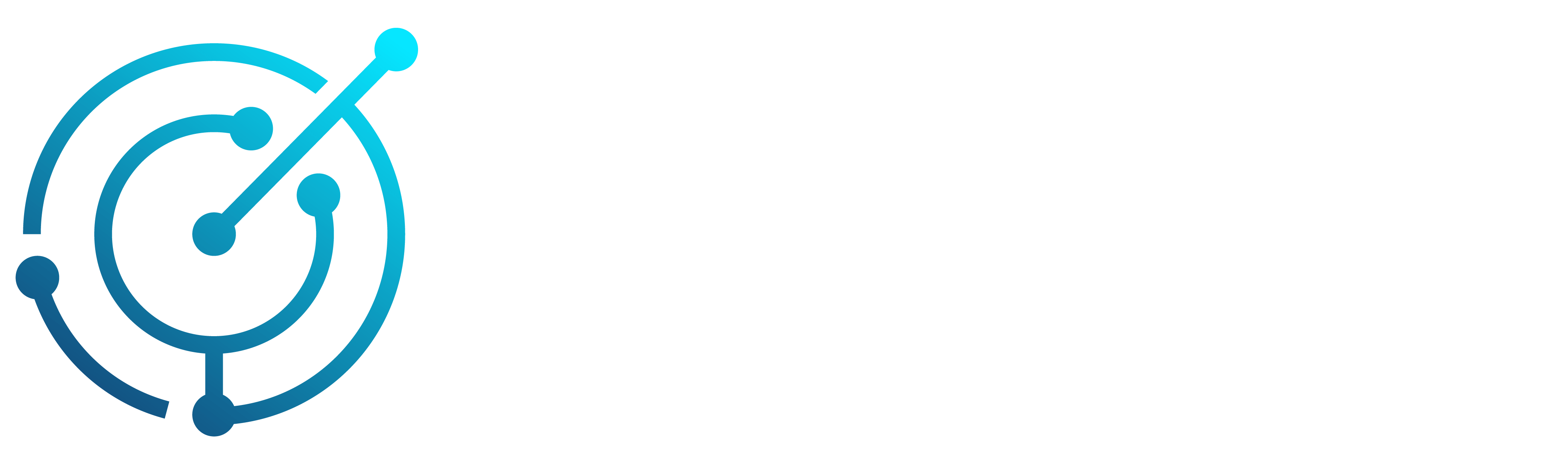 IT Consulting & Services | SOFTISS LLC