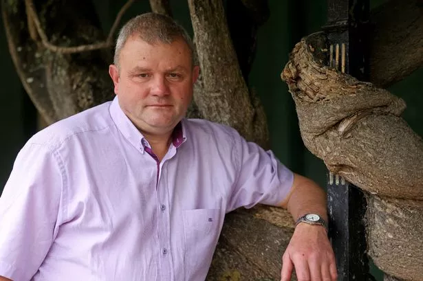 A man stands leaning against a tree