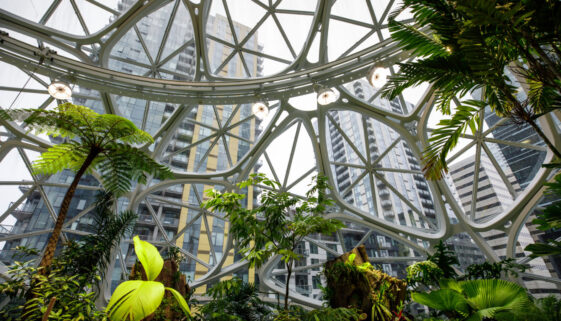 Amazon HQ - The Spheres - Interior