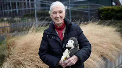 Dr. Jane Goodall with her beloved stuffed monkey, Mr. H