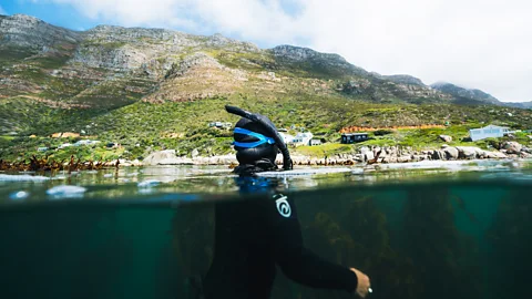 A diver half-submerged in water off the coast of Cape Town (Credit: Pier Nirandara)