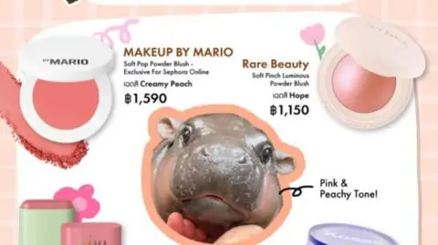 Sephora Thailand/Instagram Screenshot from an Instagram post showing two blush products, with a photo of Moo Deng beneath it.